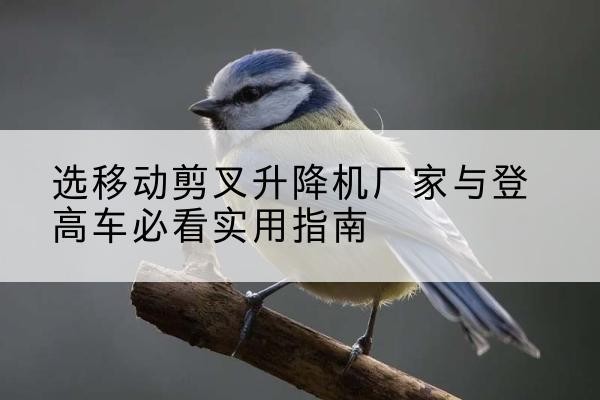六安电动升降机厂家-选移动剪叉升降机厂家与登高车必看实用指南