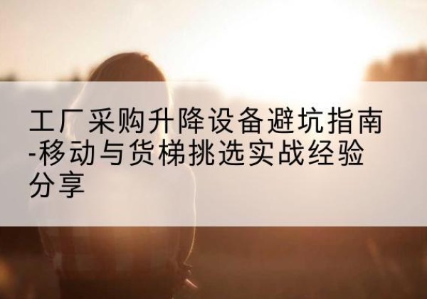 六安移动式升降机怎么选-工厂采购升降设备避坑指南-移动与货梯挑选实战经验分享