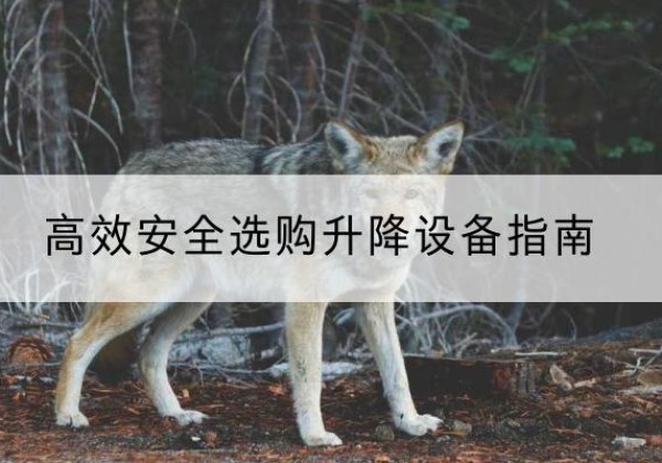 六安升降货梯厂家推荐-*安全选购升降设备指南